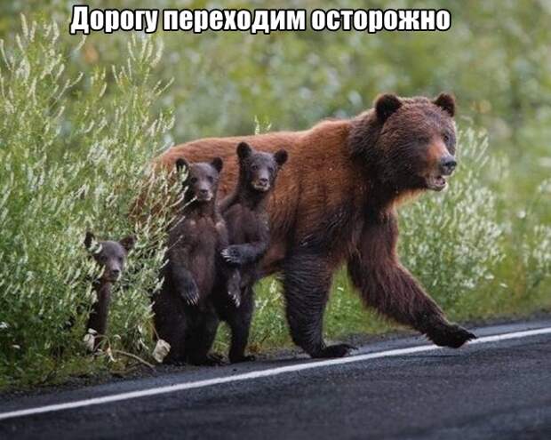 Подборка прикольных картинок