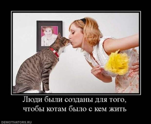 Демотиваторы. Подборка chert-poberi-chert-poberi-47500425032020-1 картинка chert-poberi-47500425032020-1