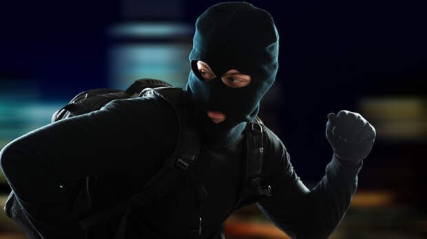 ТАСС: самое распространённое преступление в России — кража