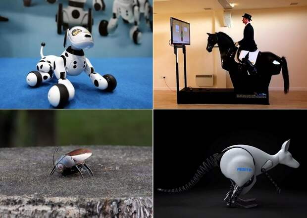 Роботы в виде животных
