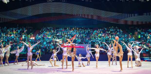 Всероссийский турнир по художественной гимнастике пройдет в Москве 4–5 октября