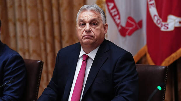 Виктор Орбан может говорить вслух правду. Фото: CNP/AdMedia/Global Look Press Виктор Орбан может говорить вслух правду. Фото: CNP/AdMedia/Global Look Press