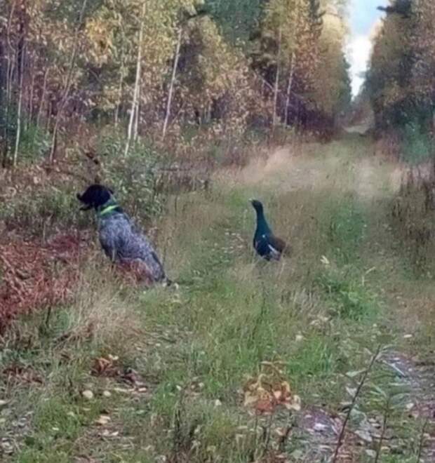 Подборка прикольных картинок