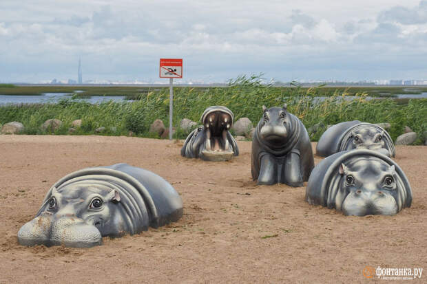Подложили бегемота. Общественное пространство в Стрельне за полмиллиарда зарастает травой