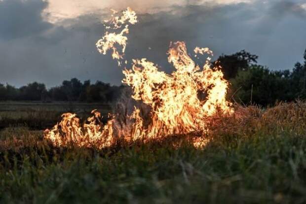 Несколько калужских районов могут оказаться в зоне риска природных пожаров