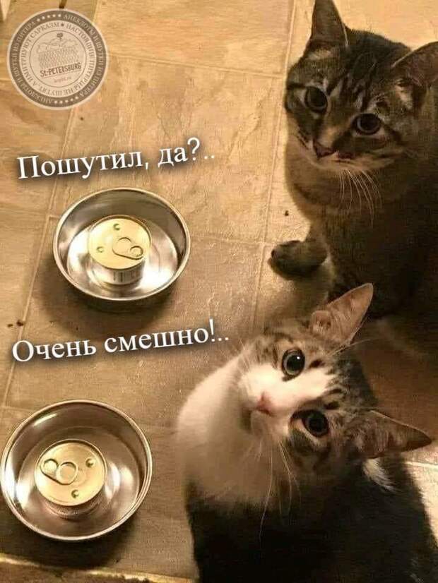 Очень смешно