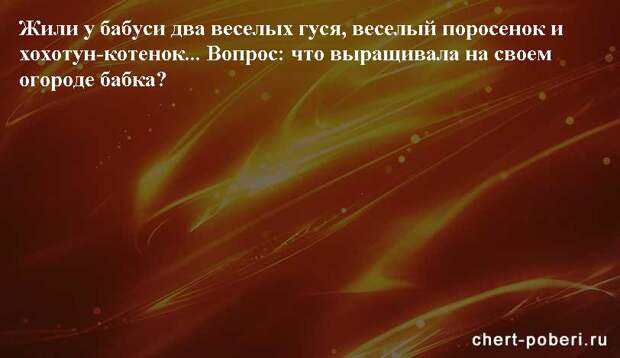 Самые смешные анекдоты ежедневная подборка chert-poberi-anekdoty-chert-poberi-anekdoty-59101230072020-3 картинка chert-poberi-anekdoty-59101230072020-3