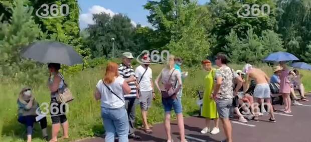 Видео: многочасовая очередь за прививкой в парке «Тушинский»