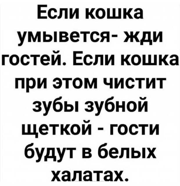Лучшие мемы, истории и картинки из Сети