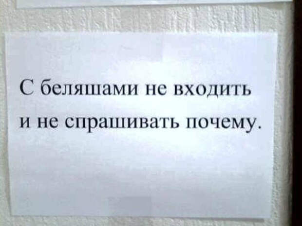 Борьба с беляшами. Борьба с беляшами.
