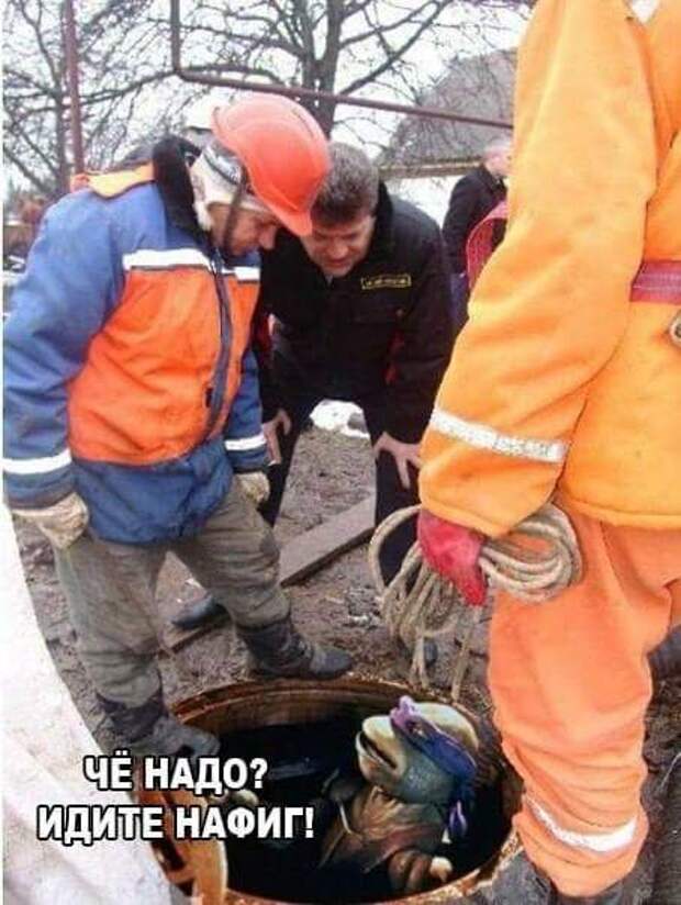 Забавные картинки с надписями для веселья (11 фото) Забавные картинки с надписями для веселья (11 фото)