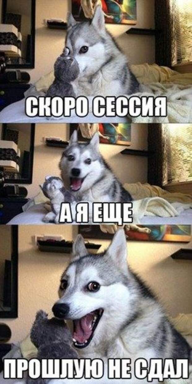 Картинки - смешинки