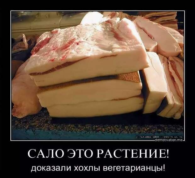 Прикольные демотиваторы с надписями. Подборка chert-poberi-dem-chert-poberi-dem-53330907112020-11 картинка chert-poberi-dem-53330907112020-11