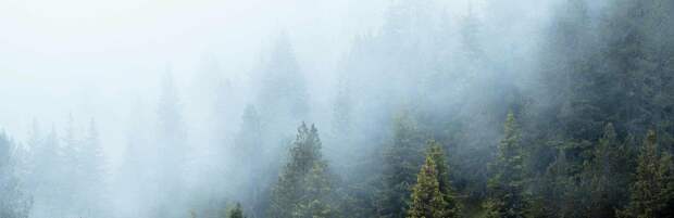 Какой будет погода 2-4 января в Алматы