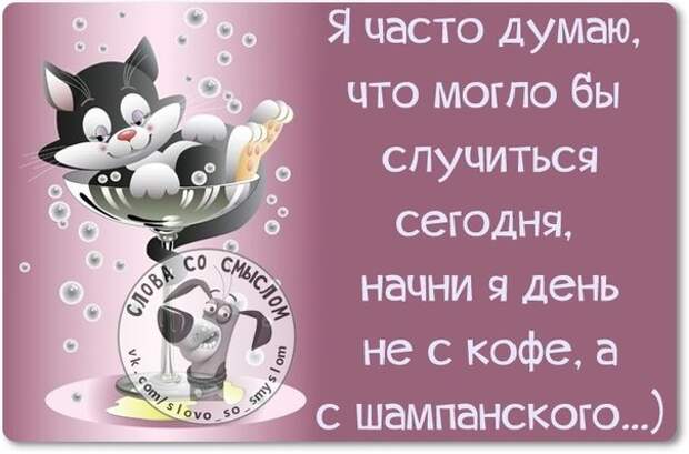 Субботние приколы в картинках с надписями