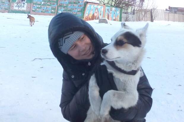В подъезде неподвижно лежал едва живой щенок В подъезде неподвижно лежал едва живой щенок пятнистая собака, собака, щенок