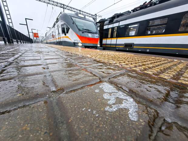 Жители Подмосковья застали заморозки