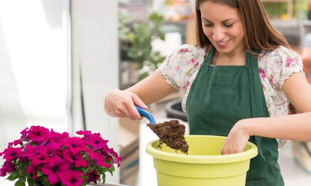 Выращиваем рассаду цветов: что сеять прямо сейчас, чтобы клумба восхитила всех в июне