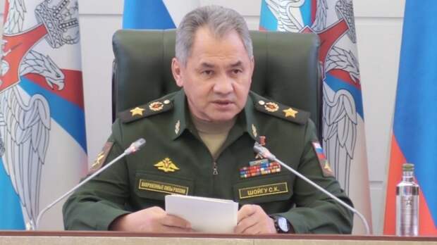 Президент Сербии пригласил Шойгу в Белград