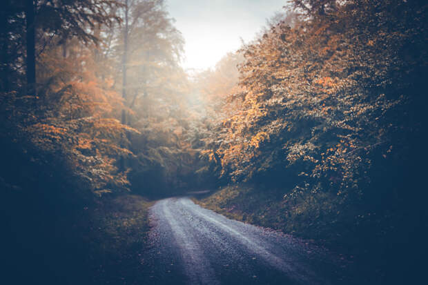 mystic way by Steffen Wenske on 500px.com