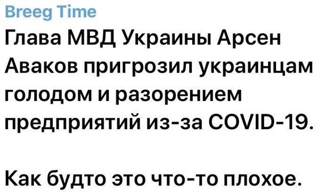 Политические комментарии из инета