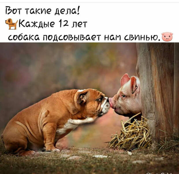 Один 80-летний старик пришел к врачу на медосмотр. - Ну, как вы себя чувствуете? - спрашивает его врач...