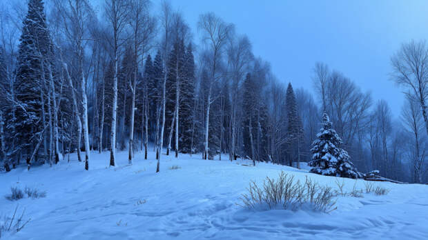 Тайна, которая не отпускает: самые страшные теории исчезновения семьи Усольцевых