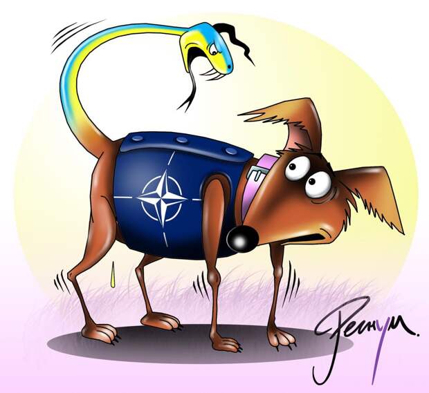 Песков о выступлении Зеленского в Давосе: киевский режим готов кусать руку дающего