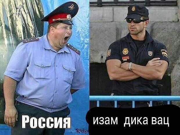 Смешные картинки про полицию (16 фото)