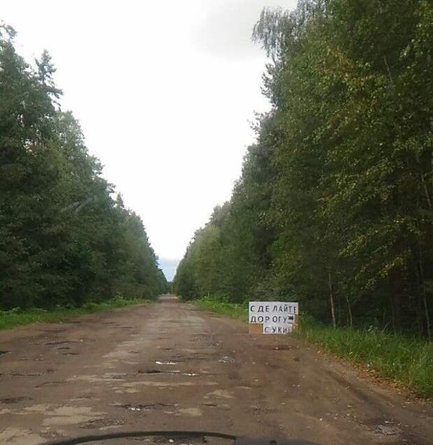 Веселые картинки и позитивные фотографии для настроения (11 фото)