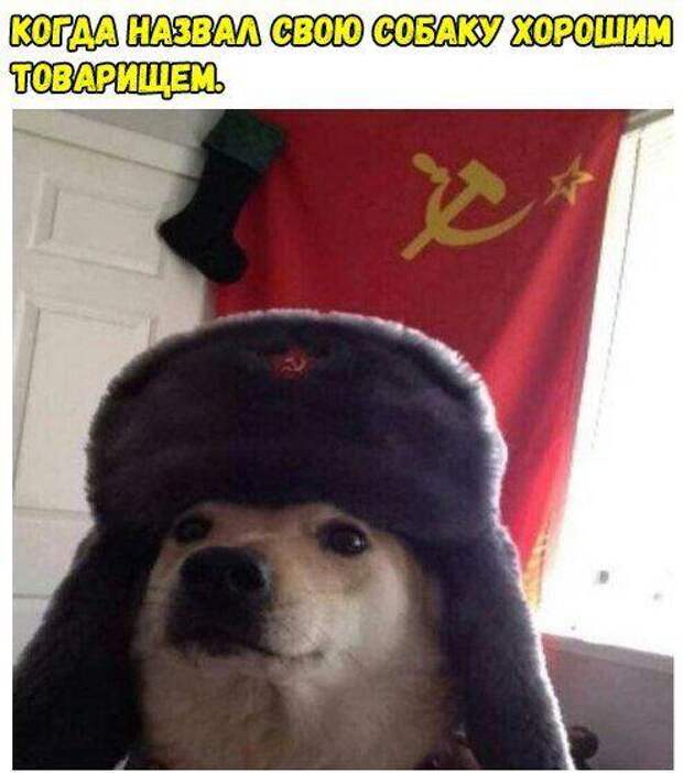 Хорошие свежие мемы (понедельник)