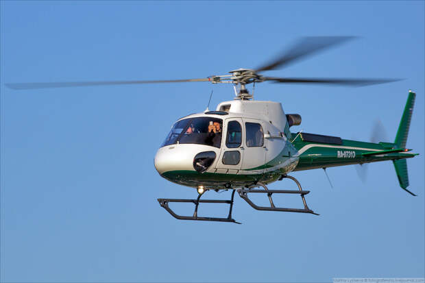 LYSM9709