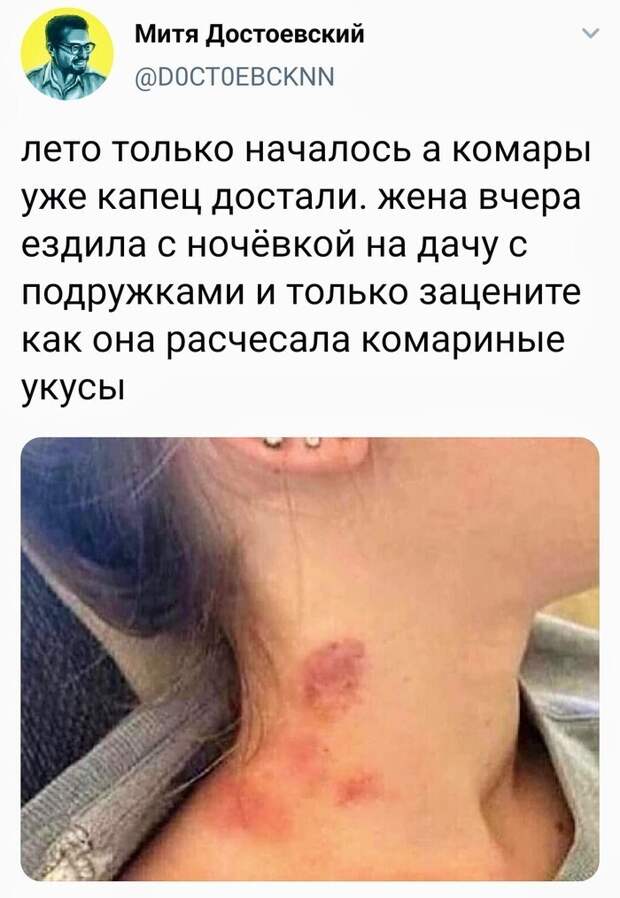 Вот бедняжке не повезло Вот бедняжке не повезло