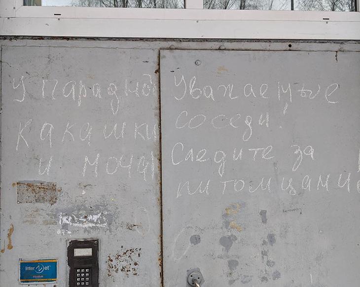 17 курьезов с надписями – хотели проинформировать, но только всех насмешили