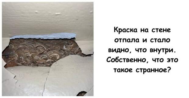 15 человек, которым нужно было немедленно узнать, что это они нашли