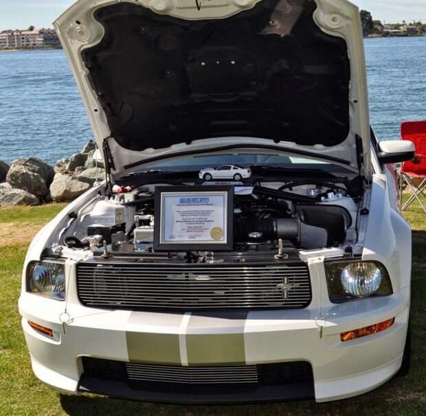 авто, ford, mustang