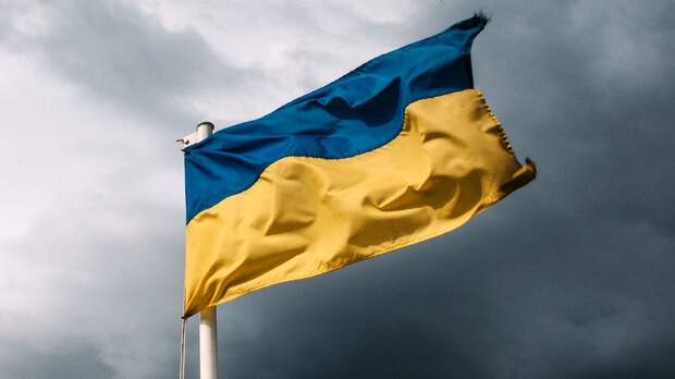 «Сбежали из Украины под другие флаги». Составлен список главных беглецов украинского спорта в 2025 году