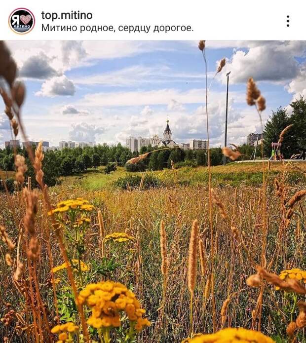 Фото дня: сельская идиллия в Митине
