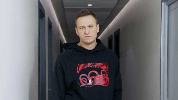 Сергей Карнаухов напомнил сторонникам Навального о последствиях поддержки ФБК