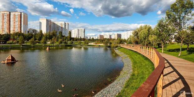 Парк. Фото: mos.ru