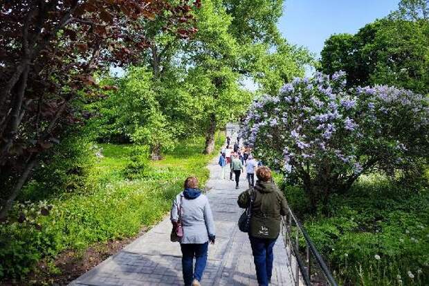 В Музее-заповеднике Рахманинова в Ивановке пройдёт фестиваль "Сиреневая ночь"