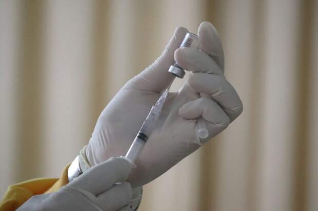 Россельхознадзор возобновляет продажу двух серий вакцин "Вектормун" из США
