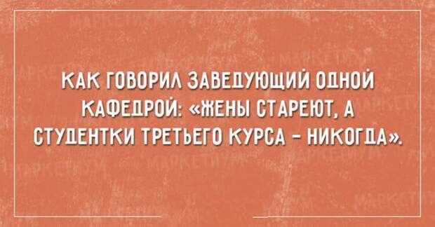 https://cdn.umbrella.green/wp-content/uploads/2017/01/3-95.jpg