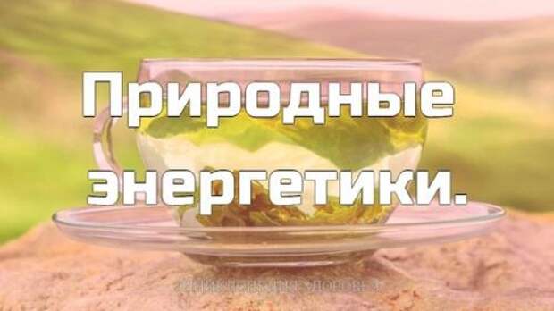Природные энергетики.   Заварите зеленый чай.