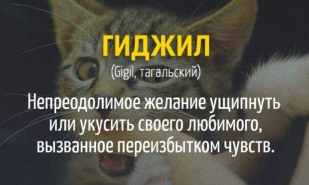 Гиджил) JbrGQy6HKgg.jpg