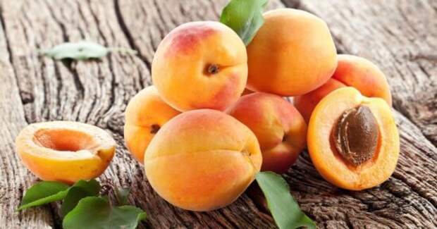 Не ошибетесь: три признака действительно спелого и сладкого абрикоса