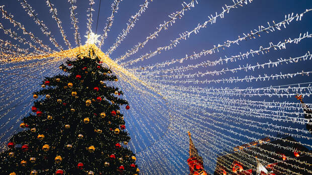 Губернаторскую ёлку в ЯНАО посетят дети из Волновахи и дети участников СВО