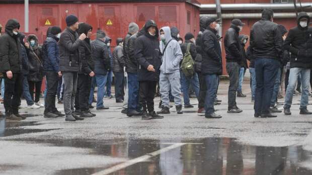 Социальная щедрость без границ: как миграционные лазейки опустошают российский бюджет