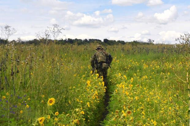В Госдуме рассказали о важном процессе, развивающемся в зоне СВО