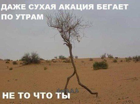 Хорошие свежие мемы (понедельник)